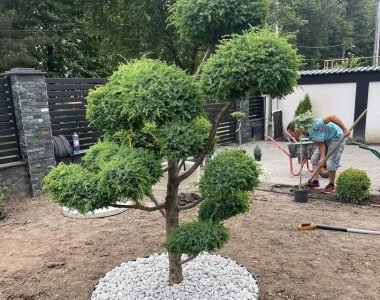 3_cyekz3e5-e1745069054123